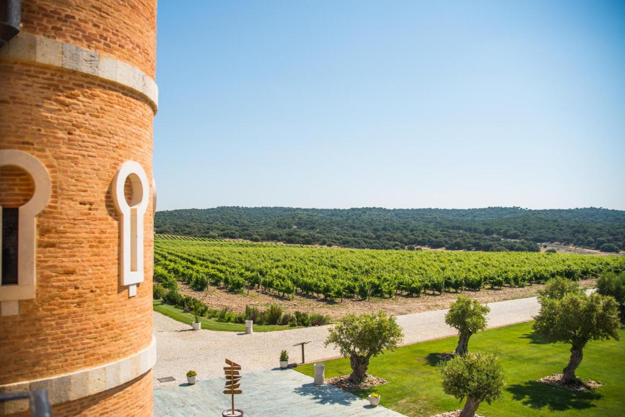 Castillo De Monte La Reina Posada Real & Bodega Toro Dış mekan fotoğraf