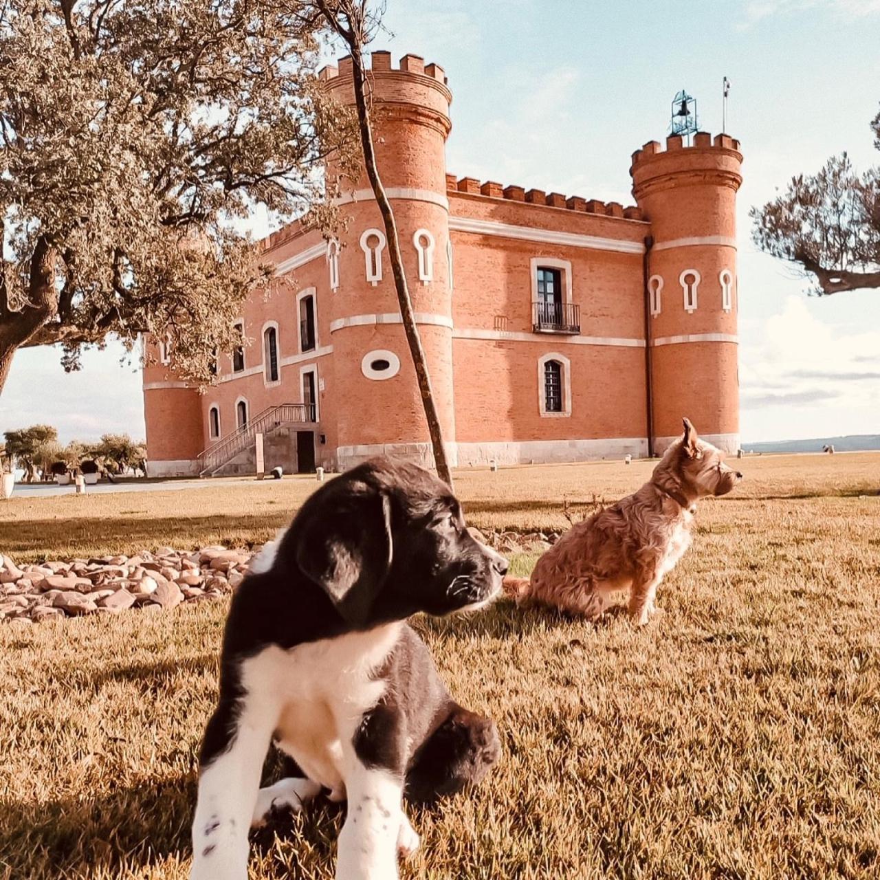 Castillo De Monte La Reina Posada Real & Bodega Toro Dış mekan fotoğraf