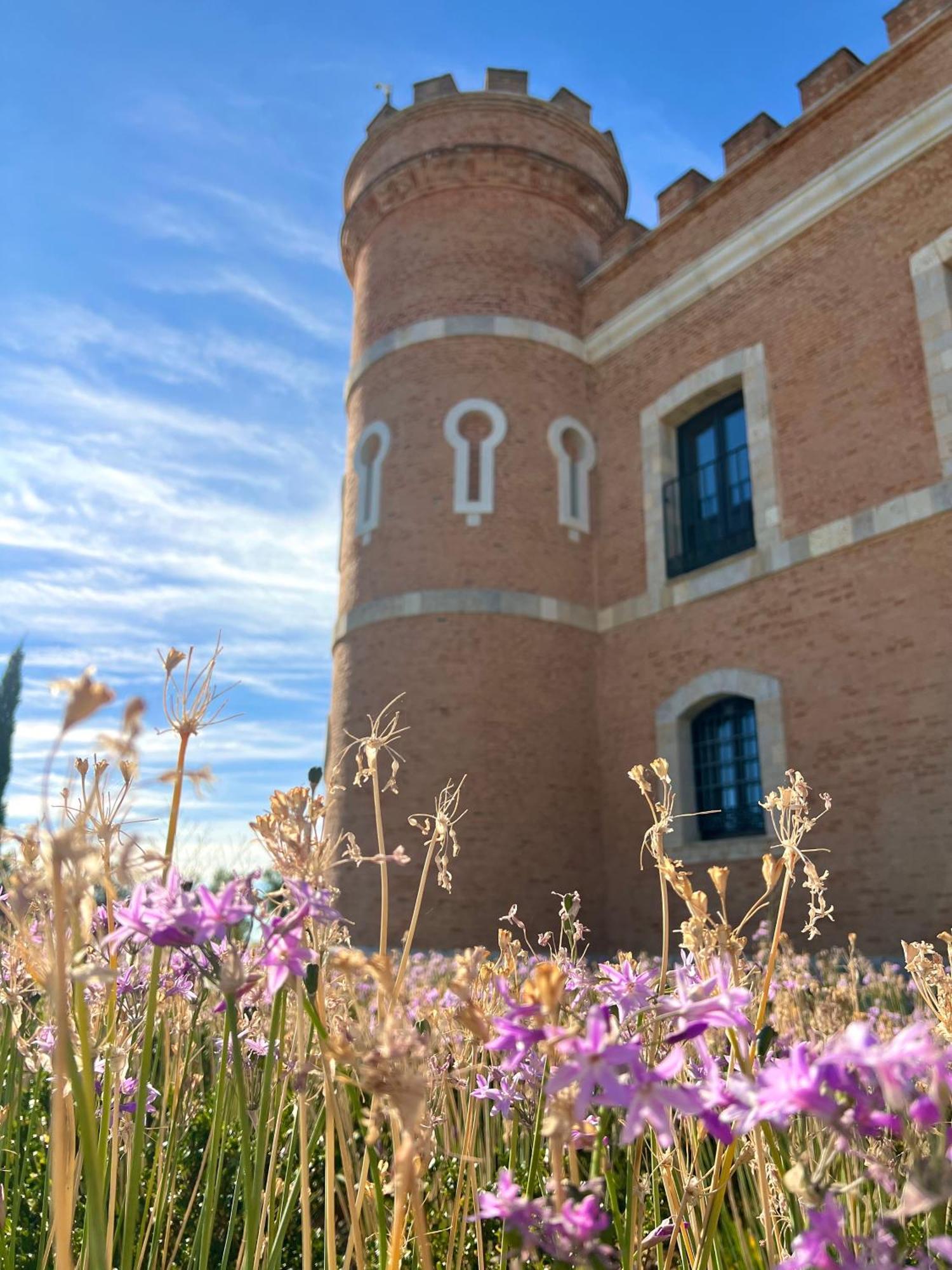 Castillo De Monte La Reina Posada Real & Bodega Toro Dış mekan fotoğraf